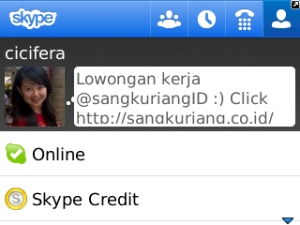 my profile skype